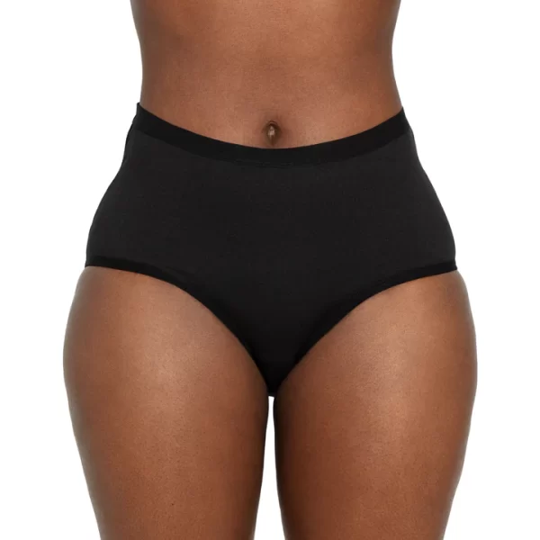 Brushed Microfiber Medium Flow Period High Waisted Panties